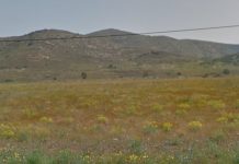 Ecologistas en Acción pide una investigación en la planta fotovoltaica “La Isla” en Llano del Beal Aspecto actual de la planta desde la carretera regional RM-F42 | Ecologistas en Acción