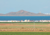 Ecologistas en Acción presenta alegaciones al Plan de Ordenación Territorial del Mar Menor Imagen de regadío intensivo en el entorno del Mar Menor | Ecologistas en Acción