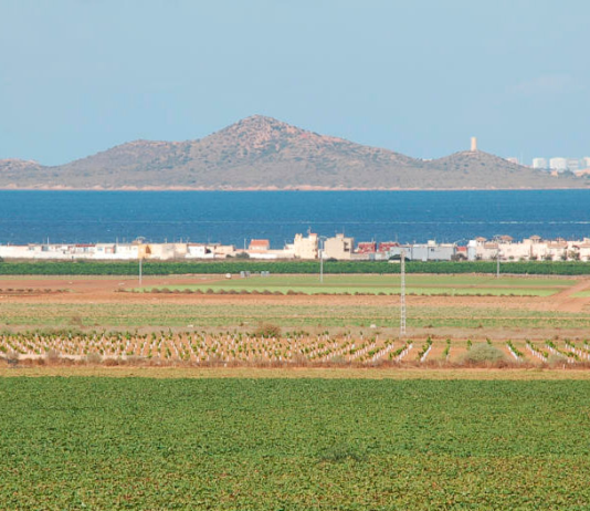 Ecologistas en Acción presenta alegaciones al Plan de Ordenación Territorial del Mar Menor Imagen de regadío intensivo en el entorno del Mar Menor | Ecologistas en Acción