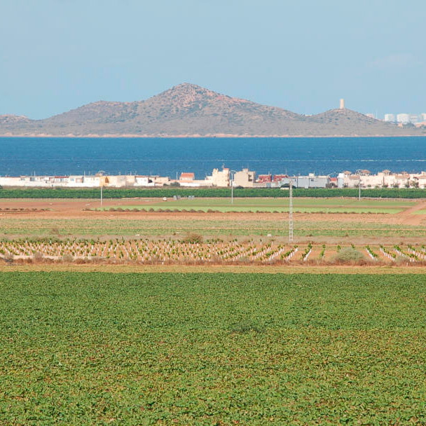 Ecologistas en Acción presenta alegaciones al Plan de Ordenación Territorial del Mar Menor Imagen de regadío intensivo en el entorno del Mar Menor | Ecologistas en Acción