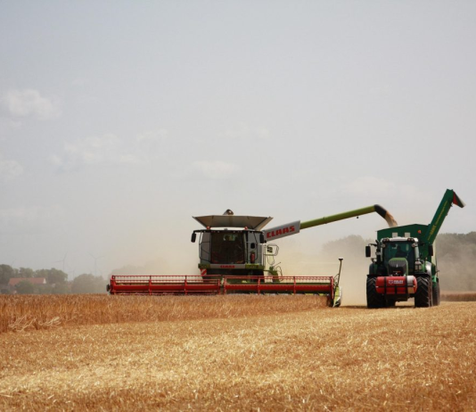 IU-Verdes lleva al pleno de Yecla el rechazo al tratado de Mercosur por su impacto en la agricultura y la industria del mueble IU-Verdes respalda las protestas agrarias y advierte de las consecuencias del acuerdo con Mercosur para la agricultura de la Región de Murcia.