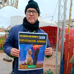Continúan las protestas por el uso de animales frente al Circ de Nadal de Valencia Un manifestante posa frente el Circ de Nadal de Valencia | P. Defensa Animal