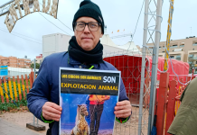 Continúan las protestas por el uso de animales frente al Circ de Nadal de Valencia Un manifestante posa frente el Circ de Nadal de Valencia | P. Defensa Animal