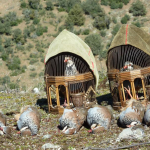 La Asamblea Regional aprueba iniciar el expediente para blindar como BIC la caza con reclamo de perdiz