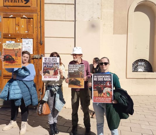 El V Certamen José María Manzanares reabre la plaza de toros de Alicante entre denuncia animalista Un grupo de manifestantes a las puertas de la Plaza de Toros de Alicante durante el certamen taurino | Jesús Martínez