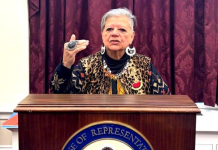 La chilena Nieves Ayress exige el fin de la doctrina Monroe ante el Congreso de EEUU