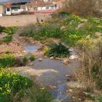 Vecinas de Los Ramos protestan por aguas tóxicas que inundan sus calles y amenazan su salud