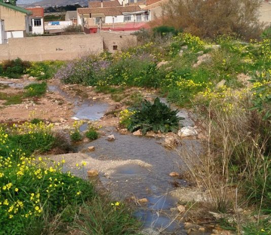 Vecinas de Los Ramos protestan por aguas tóxicas que inundan sus calles y amenazan su salud