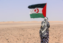 La izquierda murciana refuerza la solidaridad internacionalista con un viaje a los campamentos saharauis de Tinduf