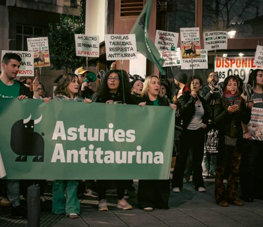 Casi un centenar de personas se concentran para protestar por el ciclo de charlas taurinas que acoge Caja Gijón La Rural Un grupo de manifestantes sujetando una pancarta de Asturies Antitaurina a las puertas del evento taurino | Foto: @conmalaspulgas