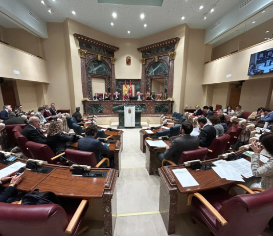 Imagen de archivo del Pleno de la Asamblea Regional | La Protesta Diario