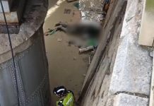 Una persona sin hogar aparece muerta bajo el puente de hierro en Murcia Cadáver aparecido bajo el puente de hierro del río Segura en Murcia