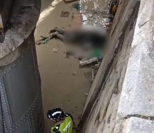 Una persona sin hogar aparece muerta bajo el puente de hierro en Murcia Cadáver aparecido bajo el puente de hierro del río Segura en Murcia