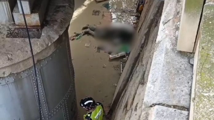 Cadáver aparecido bajo el puente de hierro del río Segura en Murcia