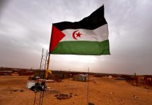 Murcia acoge una jornada de cine sobre el Sáhara Occidental con voces del exilio y la resistencia saharaui