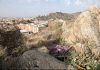 Inmigrantes viviendo en cabezos cercanos al colegio San Cristóbal de Lorca | IU-Verdes Lorca
