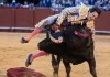 PACMA sobre la cogida a Roca Rey: «El toro es la víctima» El diestro Roca Rey, cogido y corneado por su segundo toro en La Maestranza de Sevilla | Raúl Caro (EFE)