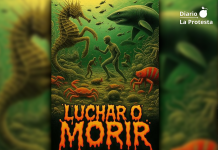 AMARME lanza un juego interactivo para denunciar el colapso del Mar Menor y señalar a los causantes del ecocidio Portada del juego interactivo “Luchar o Morir” | AMARME