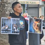 Animal Save se moviliza en Dénia por el día del animal de laboratorio