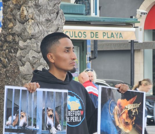 Animal Save se moviliza en Dénia por el día del animal de laboratorio