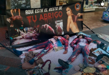 Realizan una protesta contra la industria peletera en pleno centro de Benidorm