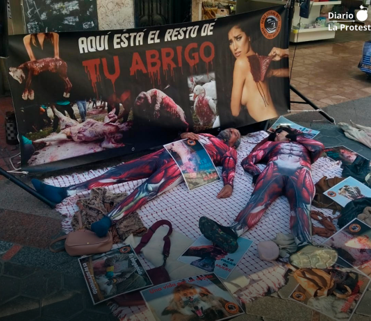 Realizan una protesta contra la industria peletera en pleno centro de Benidorm