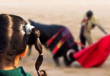 Asturies Antitaurina urge a la Junta General a proteger a los menores de la violencia de la tauromaquia Imagen de archivo de una niña de espaldas en una corrida de toros