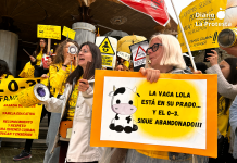 Ni la lluvia frena la rebelión del 0-3 frente a la Asamblea Regional de Murcia