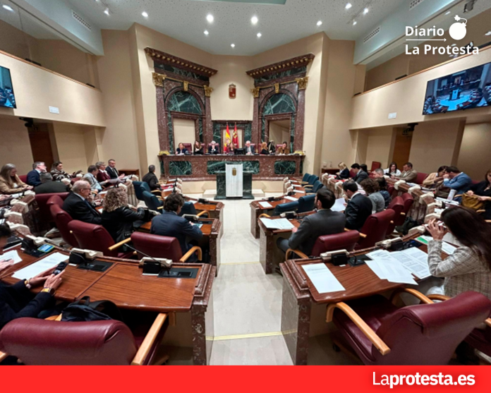 Imagen de archivo del Pleno de la Asamblea Regional | La Protesta Diario