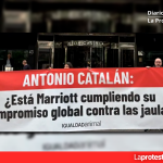 Acusan a Hoteles Marriott de incumplir su compromiso contra las jaulas y activistas protestan frente a Hosteltur 2026