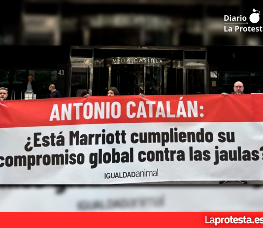 Acusan a Hoteles Marriott de incumplir su compromiso contra las jaulas y activistas protestan frente a Hosteltur 2026