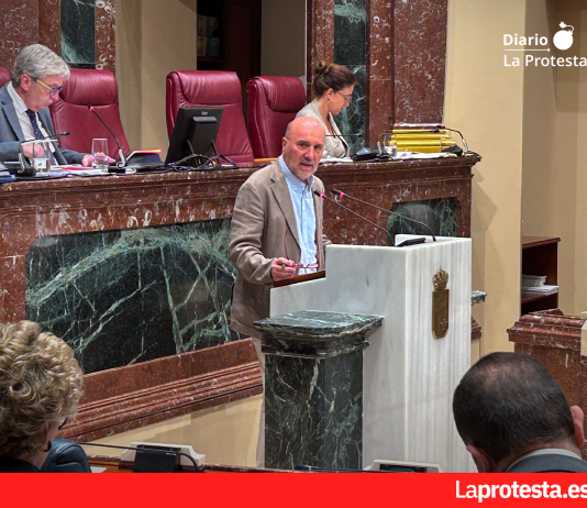Imagen de archivo del diputado regional de IU, Jose Luis Álvarez-Castellanos, durante la celebración del Pleno en la Asamblea Regional | Dominic D. Skerrett