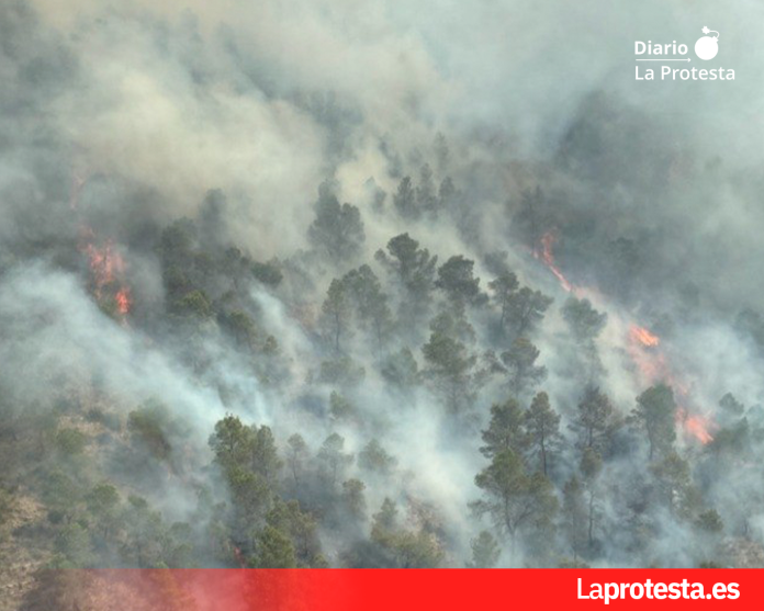 Imagen aérea del incendio que mantiene en vilo a vecinos de Los Garres y Lages. El fuego ha obligado al desalojo preventivo de viviendas y ya afecta a decenas de hectáreas de terreno forestal | Foto.- 112 RM