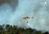 Un gran incendio forestal obliga a desalojar viviendas y moviliza a más de 300 efectivos en Los Garres Incendio en Murcia: Última hora del desalojo de viviendas del Valle Perdido y la Cresta del Gallo