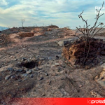 Huermur lleva a la Fiscalía el incendio que ha calcinado el Castillo de Los Garres y arrasado 177 hectáreas de alto valor natural y paisajístico Las imágenes obtenidas tras el incendio muestran la práctica totalidad del yacimiento arqueológico afectado por las llamas y un paisaje completamente arrasado y calcinado | Foto.- Huermur