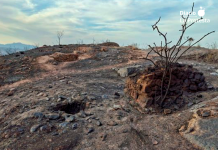 Huermur lleva a la Fiscalía el incendio que ha calcinado el Castillo de Los Garres y arrasado 177 hectáreas de alto valor natural y paisajístico Las imágenes obtenidas tras el incendio muestran la práctica totalidad del yacimiento arqueológico afectado por las llamas y un paisaje completamente arrasado y calcinado | Foto.- Huermur