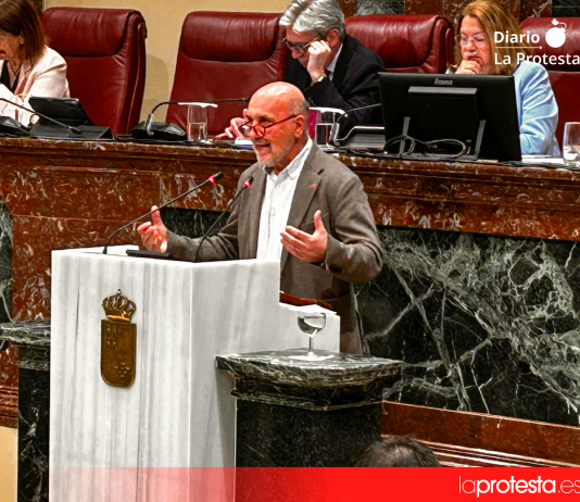 Imagen de archivo de José Luis Álvarez-Castellanos durante una intervención en el Pleno de la Asamblea Regional | Dominic D. Skerrett