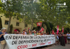 Concentración de pensionistas de CCOO y UGT ante el Palacio de San Esteban en defensa de una atención a la dependencia digna y sin listas de espera | Dominic D. Skerrett