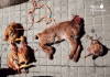 Animales hallados degollados y abandonados en contenedores del barrio de Canyadó, en Badalona, durante la investigación que dio lugar a la primera condena firme en España por maltrato animal vinculado a rituales de santería | Foto: AnimaNaturalis.