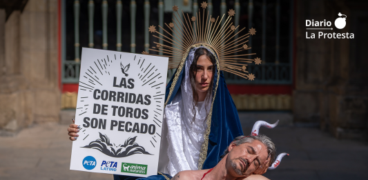 Activistas de AnimaNaturalis y PETA durante la protesta celebrada en la víspera de los Sanfermines de 2025, en Pamplona, para denunciar la tauromaquia y exigir el fin de las corridas de toros | @Rolandainyo