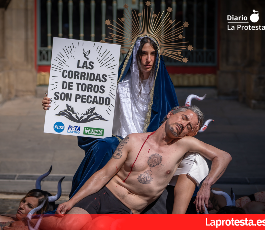 Antitaurinos denuncian que la tauromaquia «es pecado» en vísperas de las fiestas de San Fermín en Pamplona y acusan a la Iglesia de hacer caja con el sufrimiento animal Activistas de AnimaNaturalis y PETA durante la protesta celebrada en la víspera de los Sanfermines de 2025, en Pamplona, para denunciar la tauromaquia y exigir el fin de las corridas de toros | @Rolandainyo