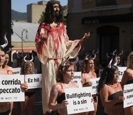 La gran paradoja nacional española: un Estado aconfesional con un calendario confesional festivo bañado en sangre taurina