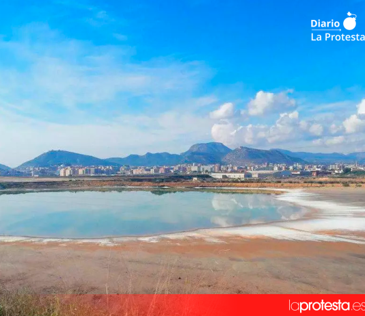 AMARME reclama inspecciones y medidas urgentes tras detectar metales pesados en suelos agrícolas en suelos agrícolas del Campo de Cartagena Terrenos contaminados por metales pesados en los terrenos de la antigua fábrica de Zinsa en Cartagena | Ayuntamiento Cartagena