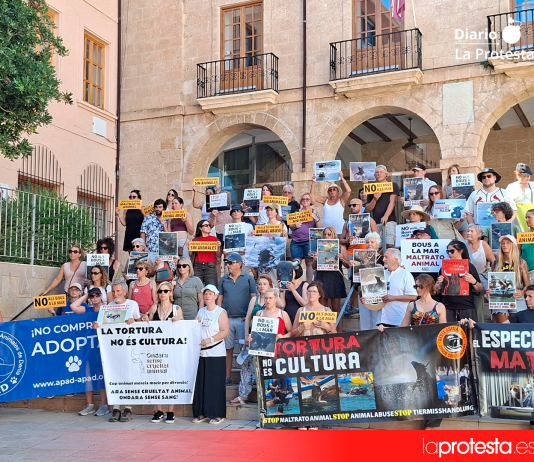 Integrantes de Dénia Animal Save durante la protesta celebrada este domingo frente al Ayuntamiento de Dénia | Animal Save