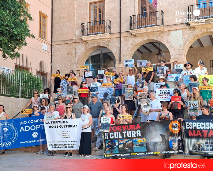 Integrantes de Dénia Animal Save durante la protesta celebrada este domingo frente al Ayuntamiento de Dénia | Animal Save Integrantes de Dénia Animal Save durante la protesta celebrada este domingo frente al Ayuntamiento de Dénia | Animal Save