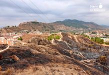 Imagen del incendio registrado el pasado 10 de julio en las inmediaciones de La Comarca, en Lorca | IU
