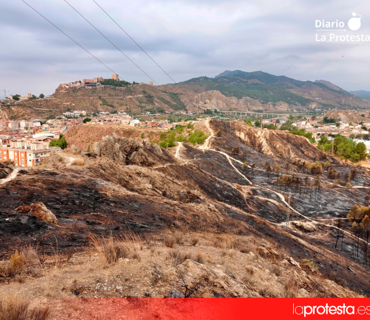 CONSUMUR exige medidas urgentes y estructurales frente a los incendios forestales más allá de promesas políticas Imagen del incendio registrado el pasado 10 de julio en las inmediaciones de La Comarca, en Lorca | IU