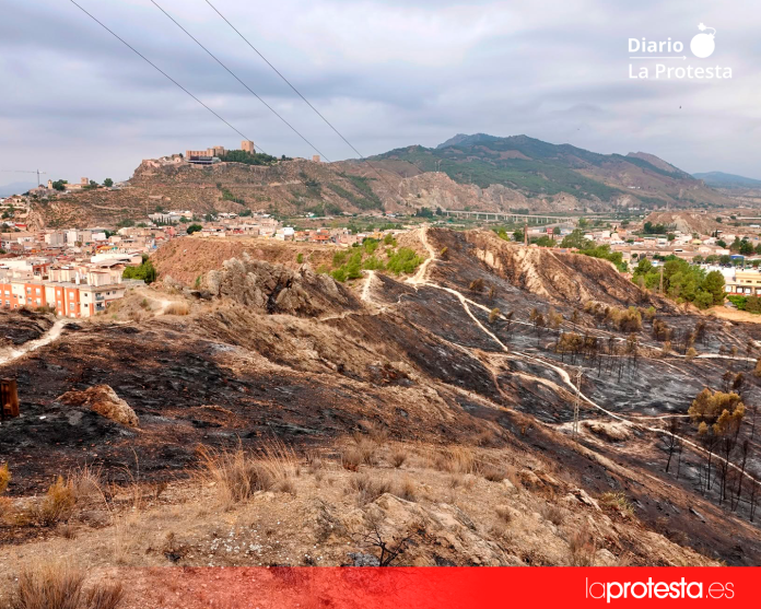 Imagen del incendio registrado el pasado 10 de julio en las inmediaciones de La Comarca, en Lorca | IU