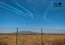 Denuncian en Fiscalía un proyecto agrícola en Mazarrón ejecutado sin autorización ni declaración ambiental Roturación y transformación de terrenos en el paraje de Cañadas del Romero (Mazarrón) en un proyecto agrícola ejecutado presuntamente sin derechos de riego ni autorización ambiental | EeA
