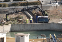 IU Lorca exige una “rendición de cuentas” a la CHS por los vertidos, la degradación de los ríos y la tala de árboles en San Diego El eucalipto de gran porte talado en la zona de la Casamata, en el barrio lorquino de San Diego, una de las actuaciones que IU reclama esclarecer ante la CHS | Foto.- IU Lorca